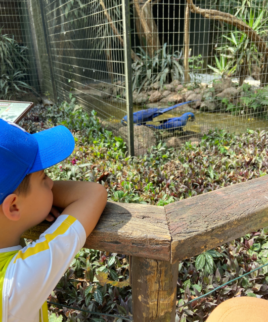 Dantianos em visita ao Zooparque de Itatiba.